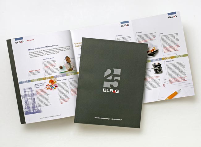 Bernstein Litowitz firm brochure cover and spread